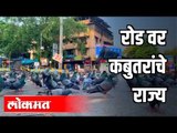 रोडवर कबुतरांचे राज्य | Corona Virus In Maharashtra | Lockdown | MaharashtraNews