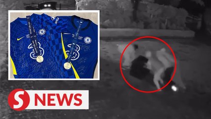 Chelsea rightback Reece James lose UCL and Super Cup winner medals in house burglary