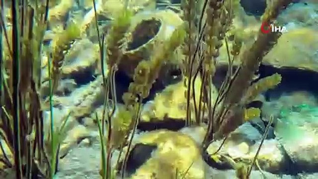 Antalya'nın içme suyu kaynaklarından biri olan Kırkgöz Göleti'ndeki kirlilik görüntülendi