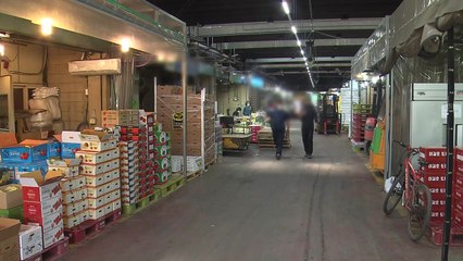 가락시장 누적 확진 244명...시장 발 집단감염 잇따라 / YTN