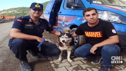 "Bozkurt" Duygu öğretmeni arıyor