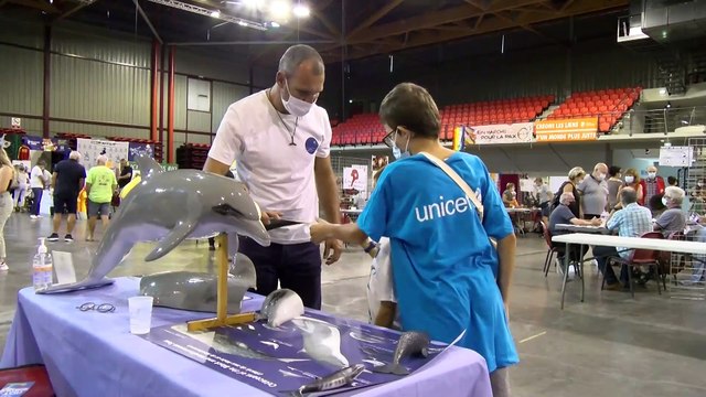 Association Miraceti pour la protection des cétacés en Méditerranée