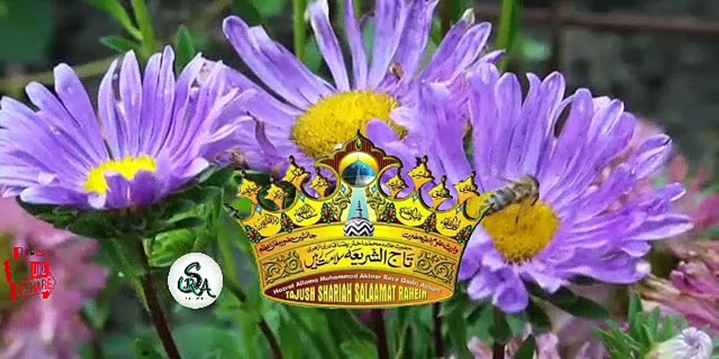 #AE MERE WATAN AE MERE WATAN #NAAT