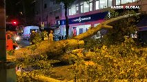 Anadolu Hisarı'nda kuvvetli fırtına nedeniyle bir ağacın devrilme anları kameralara yansıdı