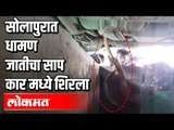 सोलापुरात धामण जातीचा साप कार मध्ये शिरला | Snake Rescue from a car in Solapur | Maharashtra News