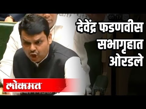 Devendra Fadnavis Shouted | Sharad Pawar यांच्याबाबतच्या वक्तव्यावरून वादंग | Nagpur Winter Session