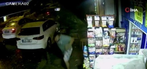 Beykoz'da devrilen ağaçtan kıl payı kurtuldular, o anlar kameraya yansıdı