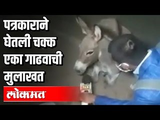 पत्रकाराने घेतली चक्क गाढवाची मुलाखत । Bihar Reporter takes interview of Donkey
