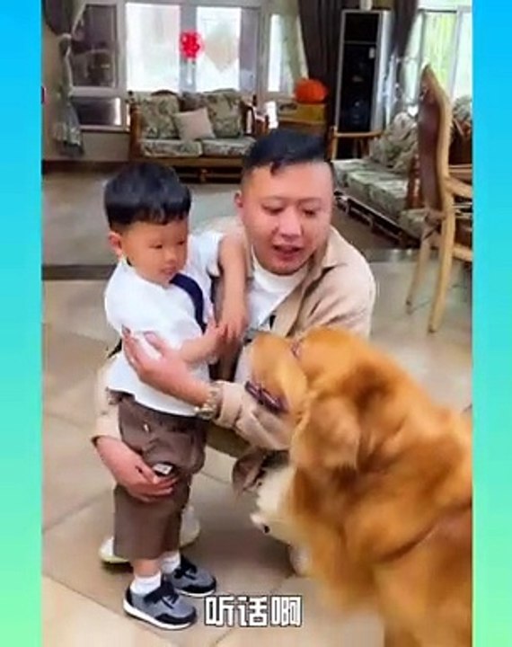 _dog2_ Smart Dog Video 2021 __24__ - short ( 1350 X 1080 )