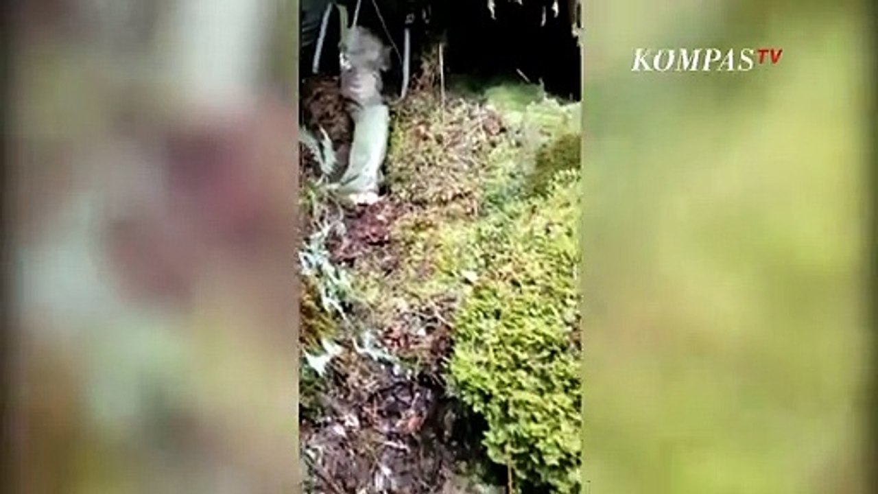 Pimpinan Mujahidin Indonesia Timur Ali Kalora Tewas Saat Baku Tembak Dengan Satgas Madago Raya