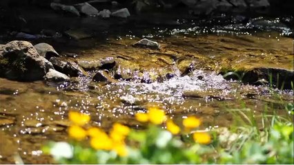 water flowing sound with music