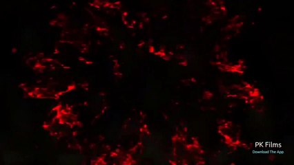 KING MAN TAMIL present a new video a another level view type movie..