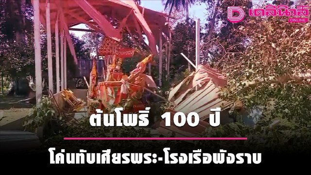 ผวาอาเพศ! ต้นโพธิ์ 100 ปี โค่นทับเศียรพระขาดสะบั้น | ชนคลิปข่าว 190964 เดลินิวส์