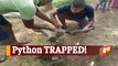 Watch: Python Stuck In Fishing Net Rescued In Odisha’s Malkangiri
