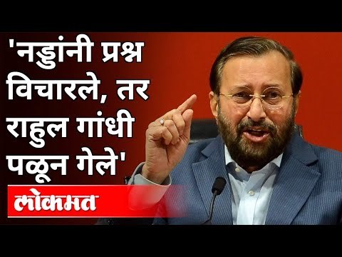 'नड्डांनी प्रश्न विचारले, तर राहुल गांधी पळून गेले' | BJP Prakash Javadekar On Rahul Gandhi | India