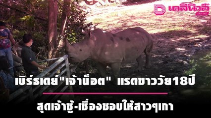 เบิร์ธเดย์"เจ้าน็อต" แรดขาววัย18ปี สุดเจ้าชู้-เชื่องชอบให้สาวๆเกา | ชนคลิปข่าว 190964 เดลินิวส์