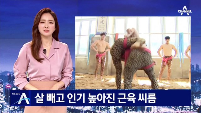 날렵하고 탄탄하게…살 빼고 인기 높아진 근육 씨름