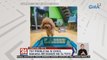 Toy poodle na si Chico, nakaka-recognize ng 34 toys | 24 Oras Weekend