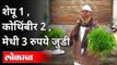 पालेभाज्यांचे दर कोसळले, शेतकरी चिंतेत | Prices of Leafy Vegetables Plummeted | Maharashtra News