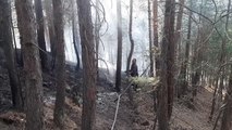 Orman yangınında 1 hektar alan zarar gördü