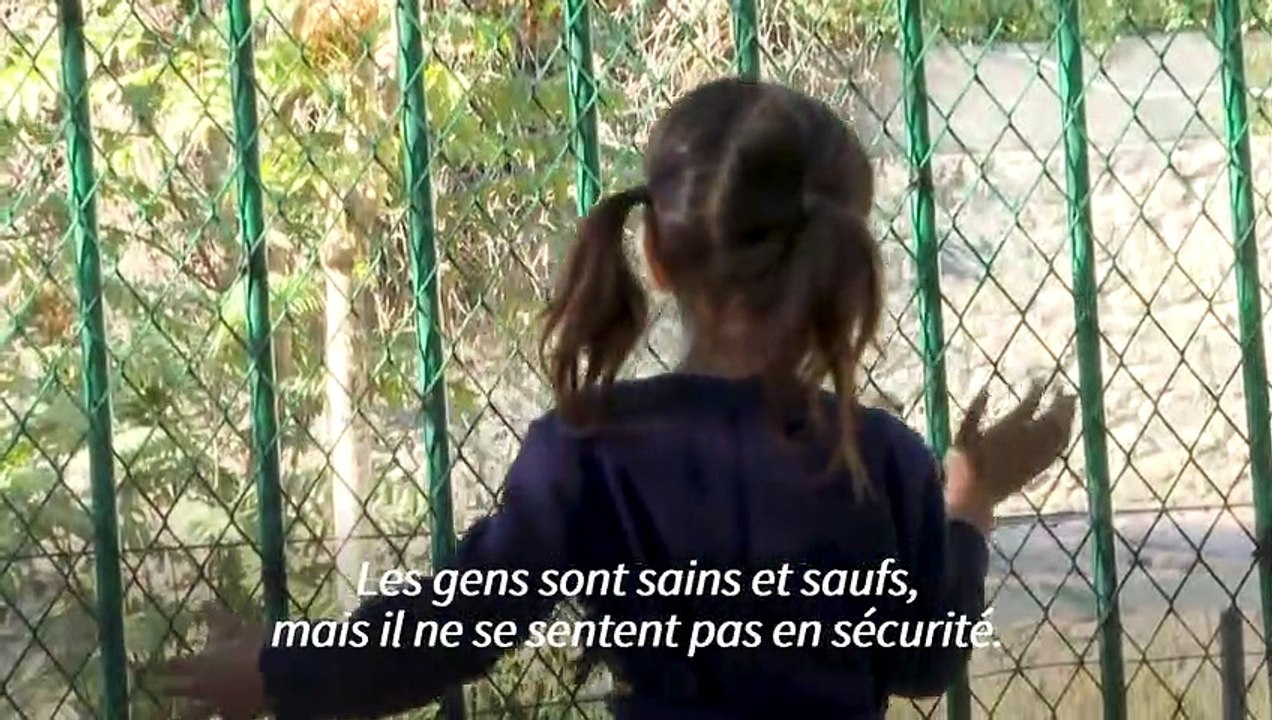 Au zoo de Kaboul, des animaux, des enfants et des talibans armés