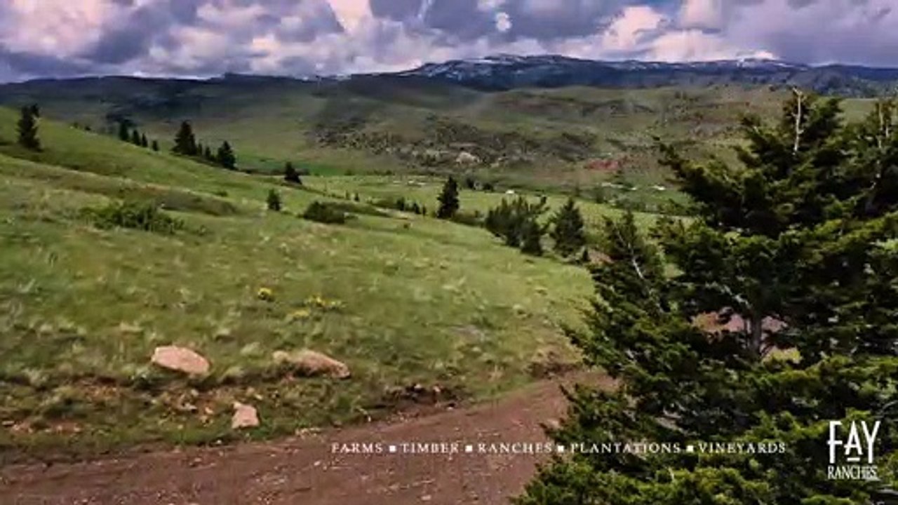 Montana Summer Squall