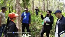 เจาะใจ I คอลัมนิสต์ : "สถาบันคุณวุฒิวิชาชีพ" ต่อยอดความรู้...เปลี่ยนคุณสู่มืออาชีพ [18 ก.ย.64]