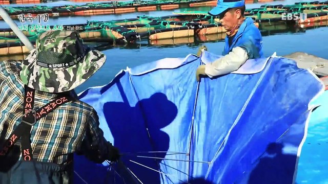 한국기행 - Korea travel_나의 고향으로 오라 1부- 컴백홈, 형제의 바다_#002