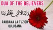 Dua from Quran | Rabbana la tuzigh quloobana | Islamic education video