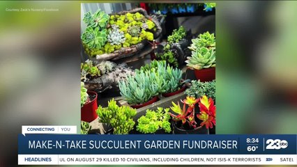 Local Nursery hosting Make-N-Take Succulent Garden fundraiser