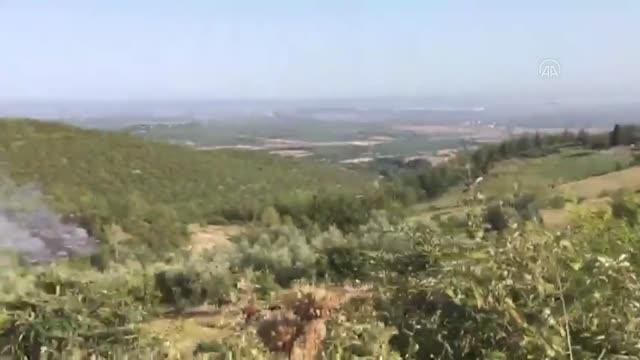 Son dakika haberleri: Sumbas ilçesinde çıkan orman yangını söndürüldü