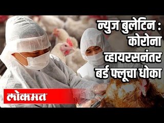 Corona Virus नंतर आता बर्ड फ्ल्यू | BJPचा उध्दव ठाकरेंचा टोला | Marathi Batmya