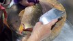 Yellow Color  Carp fish cutting Cleaning and Slicing | fastest way of cutting fish | how to cut carp fish for make sashimi | sashimi seafood making | live fish cutting video