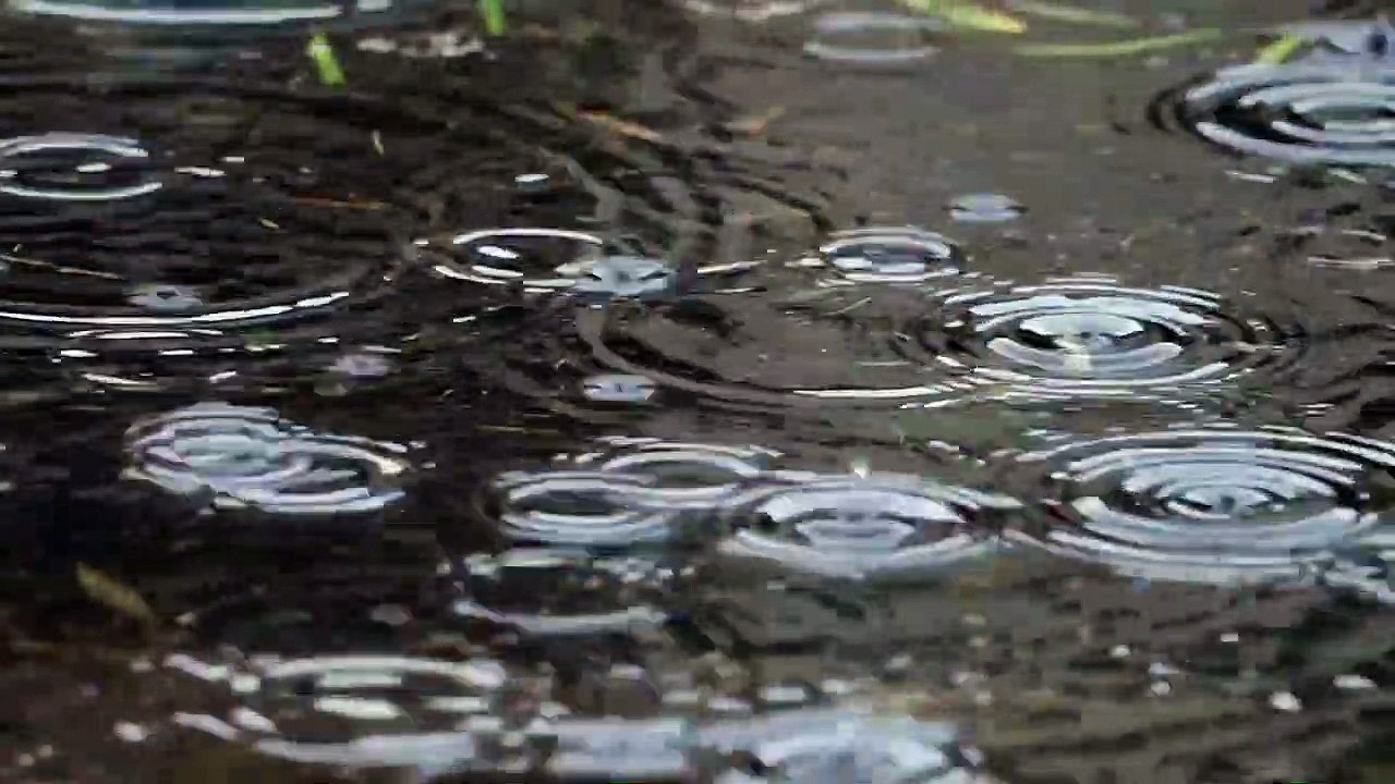 Gentle Rain Sound - Sleeping, Studying, Relaxing _ White Noise