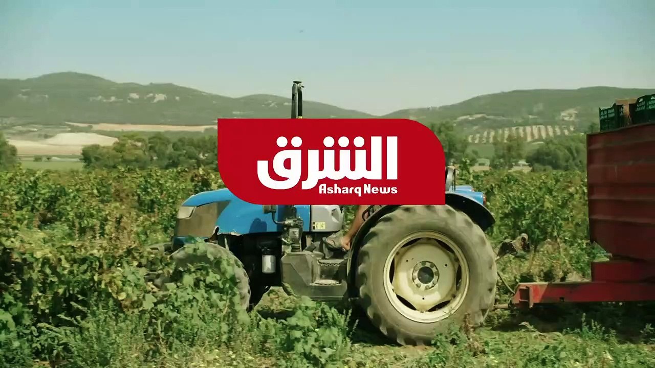 مقابلة خاصة مع نيفين جامع وزيرة التجارة والصناع...