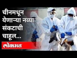 China मधल्या H10N3 बर्ड फ्लूमुळे जगाची चिंता का वाढली? H10N3 Bird Flu in China । International News