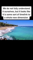 TikTok Time traveller - That One Time Traveler 2