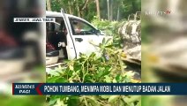Pohon Besar Tumbang Menimpa Mobil dan Menghalangi Jalan, Beruntung Penumpang Selamat
