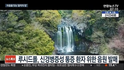 "당신에게 가까이"…음악으로 건네는 치유와 위로