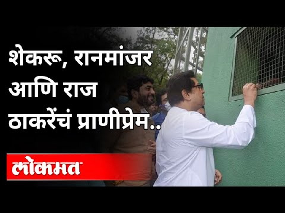 शेकरू, रानमांजर आणि राज ठाकरेंचं प्राणीप्रेम | Raj Thackeray | Rajiv Gandhi Zoological Park | Pune