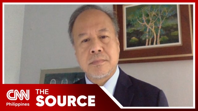 Retired ICC judge Raul Pangalangan | The Source