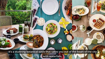 Best Breakfast Spots in The UAE