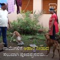 This Police Officer Has Been Feeding Stray Dogs For The Past 15 Years