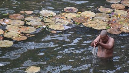 पितृ पक्ष में पितरों को खुश कैसे करें | पितृ पक्ष में पितरों को खुश करने का उपाय | Boldsky