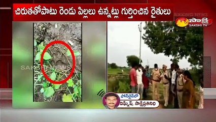 కామారెడ్డి జిల్లాలో చిరుత సంచారం కలకలం