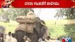 ದಸರಾ ಗಜಪಡೆ ಮೇಲೆ ಮೂಟೆ ಹೊರಿಸಿ ತಾಲೀಮು | Mysuru Dasara | Dasara Elephants
