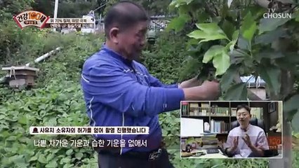 면역력 UP! 노폐물 빼주는 황칠찻물 반신욕 TV CHOSUN 210920 방송