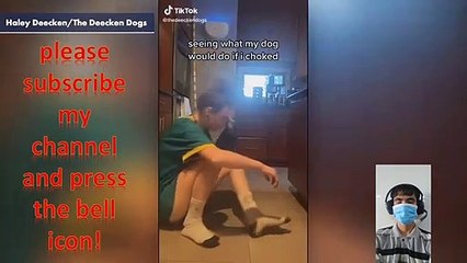 Dog reacts to owner's fake choking in an unexpected way: 'Certified dogter'