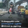 Bengaluru Traffic Cop Who Filled Pothole Earns Praise After Viral Video