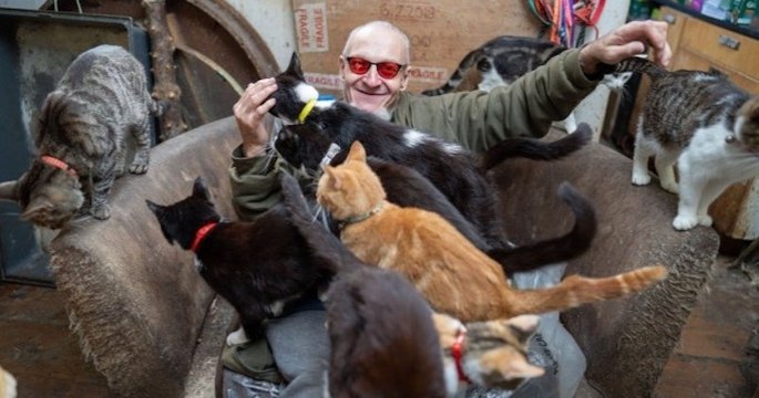 Ce quinquagénaire vit avec plus de 70 chats !